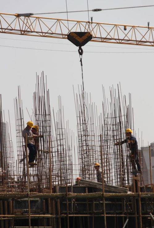惠州市附著式升降腳手架子工證考試指南 報名、考試內(nèi)容及查詢方式